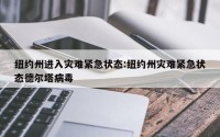 纽约州进入灾难紧急状态:纽约州灾难紧急状态德尔塔病毒
