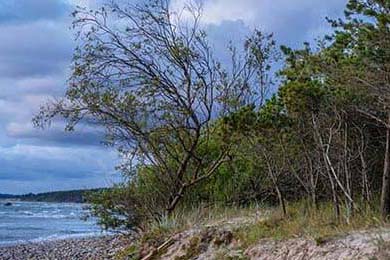 绥中疫情最新进展：单日新增12例本土确诊，全域防控升级背后的“快准严实”