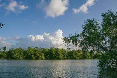 专家谈新冠疫苗第四针何时来：保护力研究、接种策略与公众关切全解析