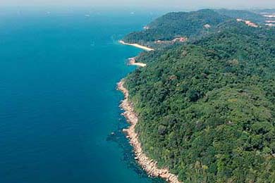 疫情莆田：全民战疫下的“速度”与“温度”