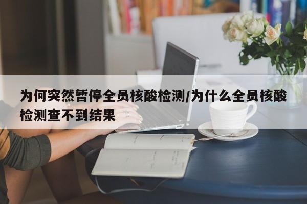 为何突然暂停全员核酸检测/为什么全员核酸检测查不到结果